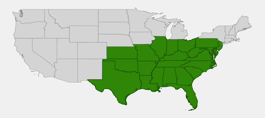 Native range map of Wild Potato Vine (Ipomoea pandurata) showing distribution across the eastern, southeastern, and south-central United States