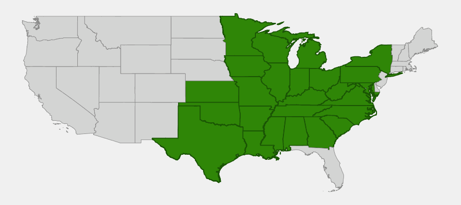 Native range map of Wild Quinine (Parthenium integrifolium) across the eastern and midwestern United States