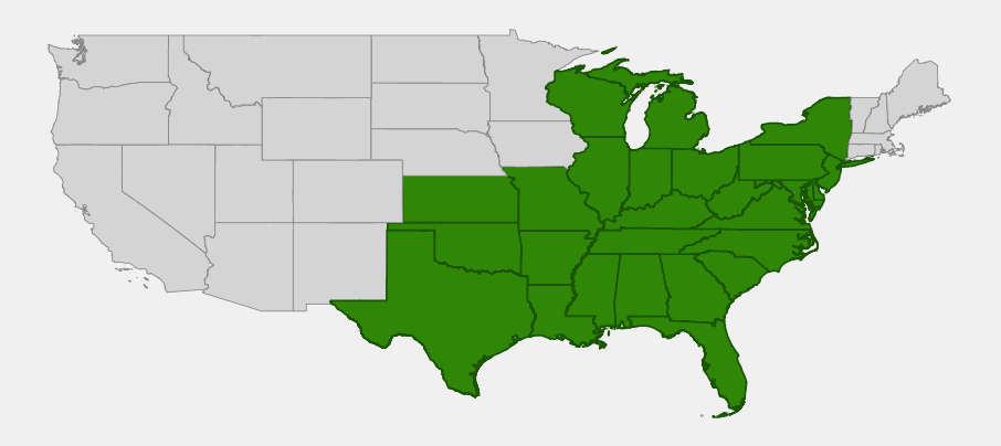 Native range map of Wingstem (Verbesina alternifolia) showing distribution across the eastern and central United States