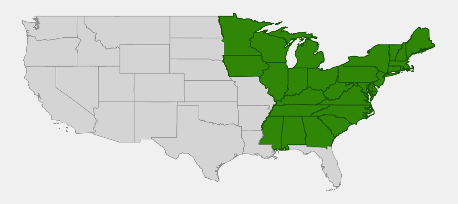 Native range map of wood anemone (Anemone quinquefolia) covering the eastern United States from New England to Georgia and west to Minnesota and Iowa