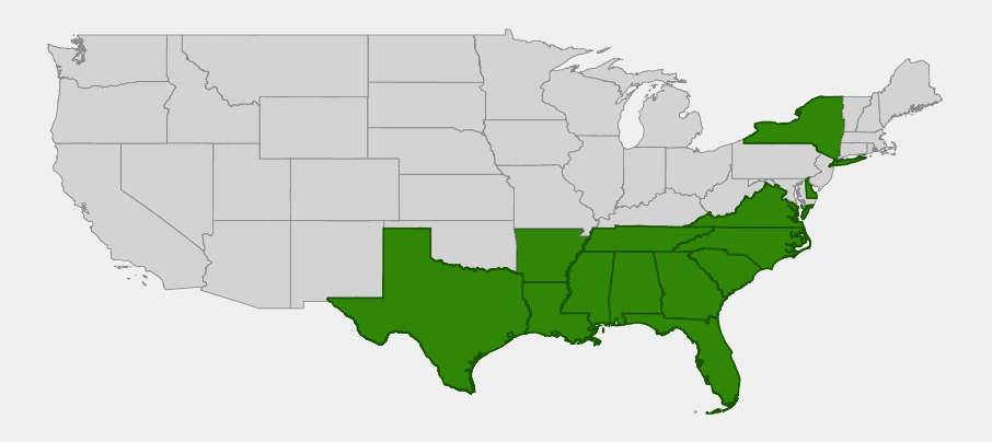 Native range map of Woodvamp (Decumaria barbara) showing distribution across the southeastern United States and a disjunct population on Long Island, New York