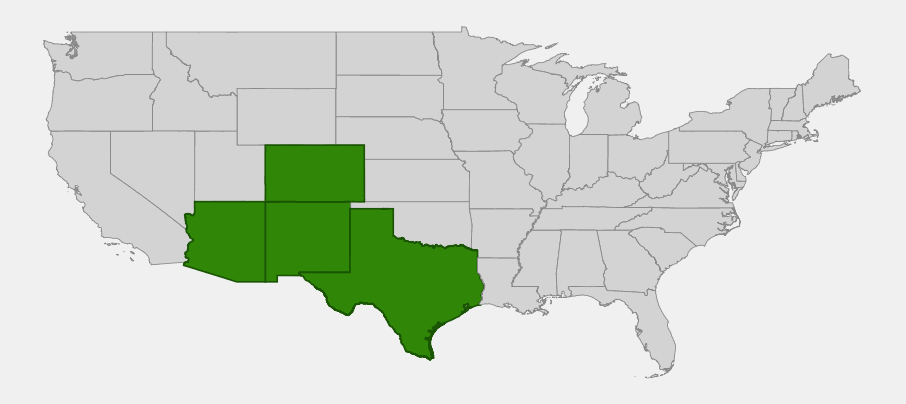 Native range map of Wright's Goldenrod (Solidago wrightii) showing distribution across Arizona, New Mexico, Texas, and Colorado