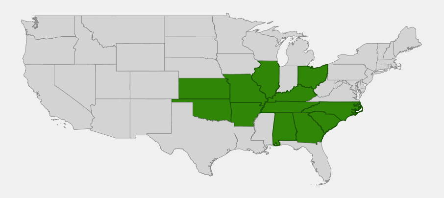 Native range map of yellow honeysuckle (Lonicera flava) across the Interior Highlands and southern US
