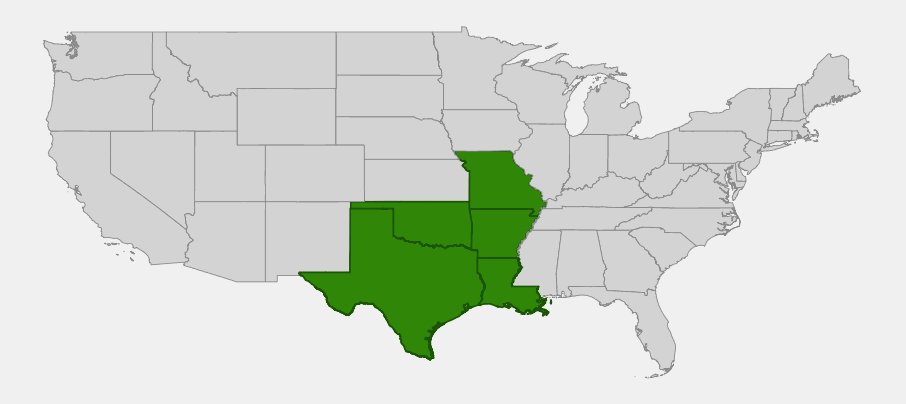 Native range map of Yellow Wild Indigo (Baptisia sphaerocarpa) showing distribution across Missouri, Arkansas, Oklahoma, Texas, and Louisiana