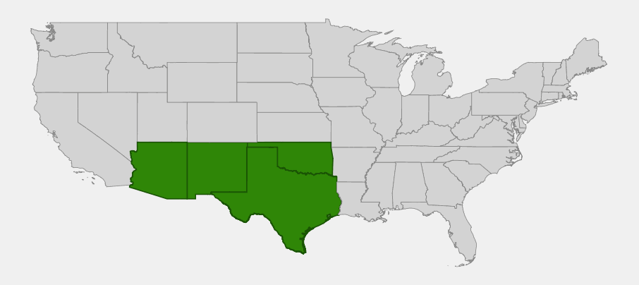 Native range map of Zizotes Milkweed (Asclepias oenotheroides) showing distribution across Arizona, New Mexico, Oklahoma, and Texas